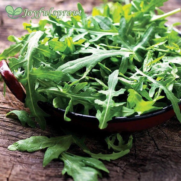 Speedy Arugula Seeds