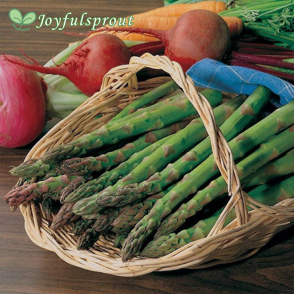 Asparagus 'Jersey Knight' Seeds