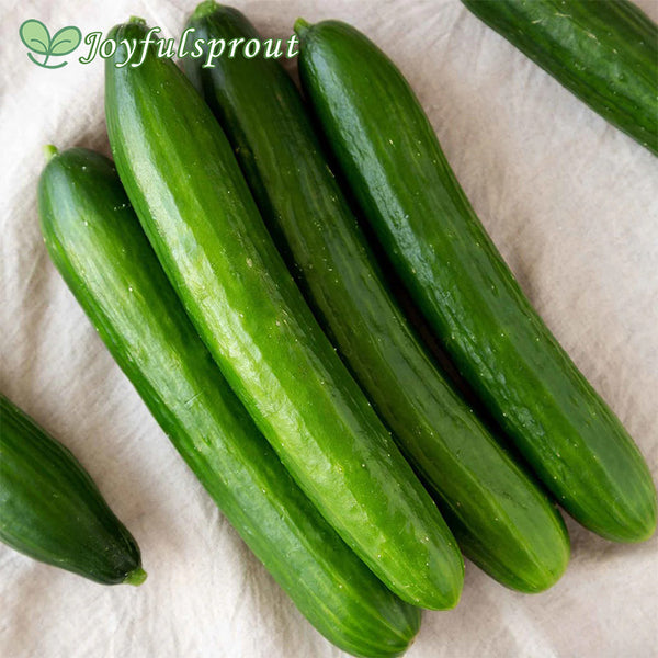 Cucumber Seeds - Tasty Green