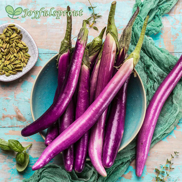 Eggplant Seeds - Long Asian