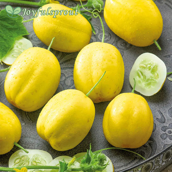 Cucumber Seeds - Lemon
