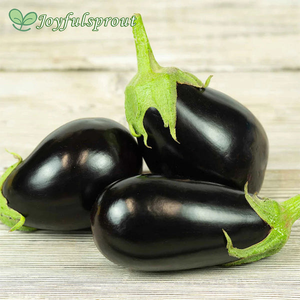 Eggplant Seeds - Black Egg