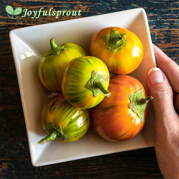 Eggplant Seeds - Turkish Orange