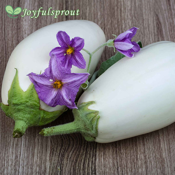 Eggplant Seeds - Casper