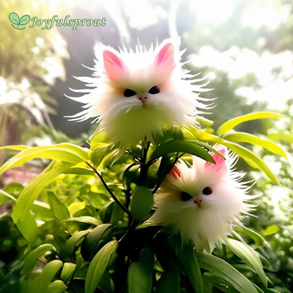 Amazing plants! Cat's eye dazzle