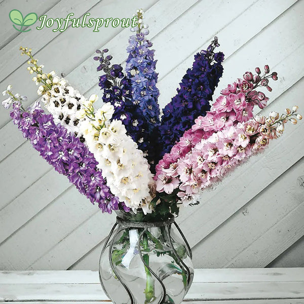 Magic Fountain Mix Delphinium Seeds